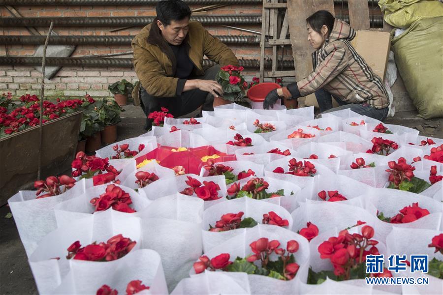 （在習(xí)近平新時代中國特色社會主義思想指引下——新時代新作為新篇章·習(xí)近平總書記關(guān)切事·圖文互動）（1）希望的田野，希望的春天——各地農(nóng)業(yè)生產(chǎn)新動態(tài)掃描