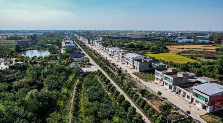 橫林鎮(zhèn)：推進土地流轉(zhuǎn)，助力鄉(xiāng)村振興