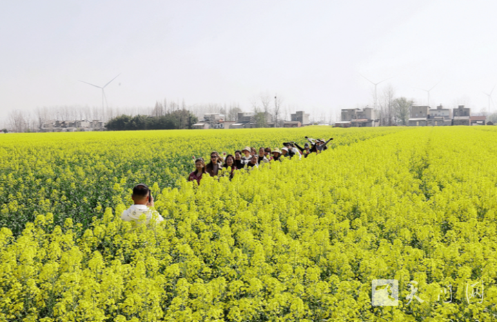 油菜花海的浪漫邀約多祥鎮(zhèn)舉辦賞花交友主題活動