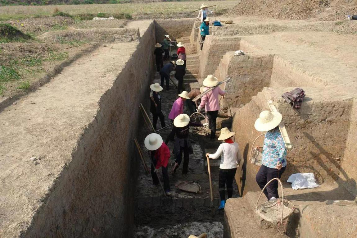 石家河遺址博物館項(xiàng)目建設(shè)工地，工人們正加緊施工（如圖）.jpg
