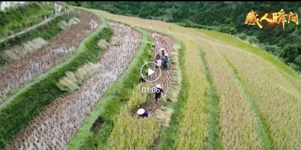 感人瞬間 |《微光星?！?><span id=