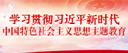 學(xué)習(xí)貫徹習(xí)近平新時(shí)代中國特色社會主義思想主題教育